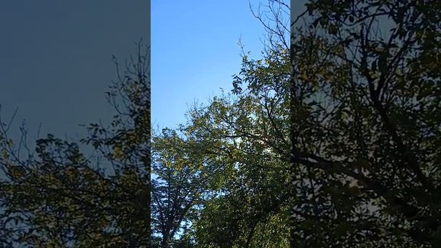 Солнечный день в Выселках после дождя смотреть онлайн