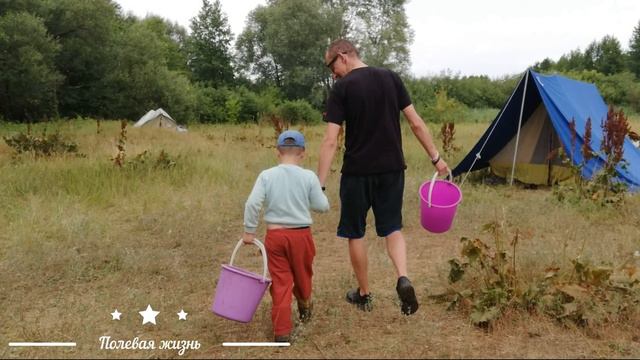 Моховская археологическая экспедиция МАЭ 2019 смотреть онлайн