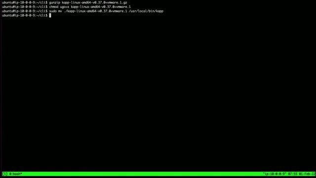 Install The Tanzu CLI On Linux смотреть онлайн