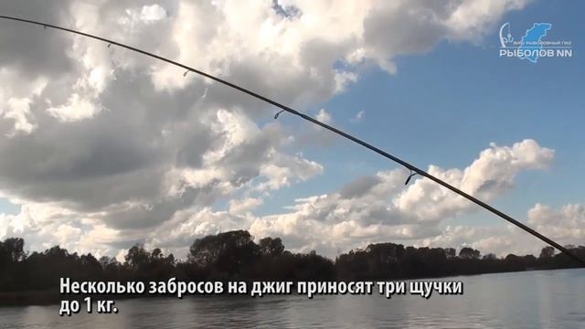 На Волге под Фокино. Рыбалка на спиннинг. Ловим жереха и щуку. смотреть онлайн