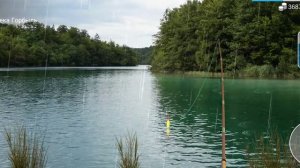 как и где ловить# обыкновенный подуст#my fishing world