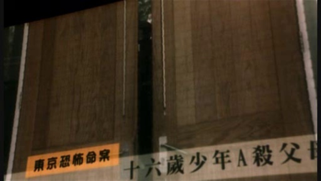 Coq De Combat Partie 2