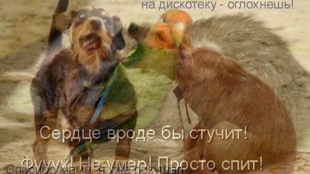 Картинки с надписями смотреть онлайн