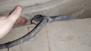 УАЗ патриот. Не работают фонари заднего хода.