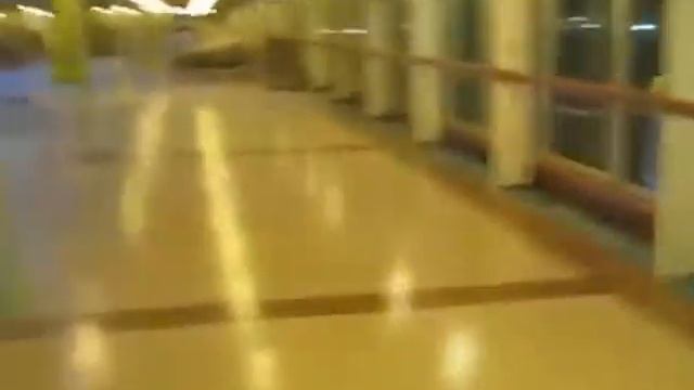 Выпускник Морской школы ОМЕГАШИП на Oasis Of The Seas смотреть онлайн