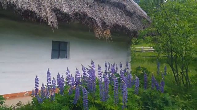 Прогулка по музею Пирогово. Киев. смотреть онлайн