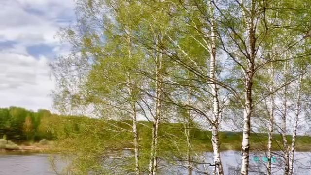"Где берёзоньки шумят" (А.Чугайкиной) исп. М.Мельник смотреть онлайн