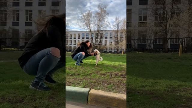Самые скучные 30 дней нашей жизни) Что делать в карантин?! Как не умереть от скуки в коронавирус?! смотреть онлайн