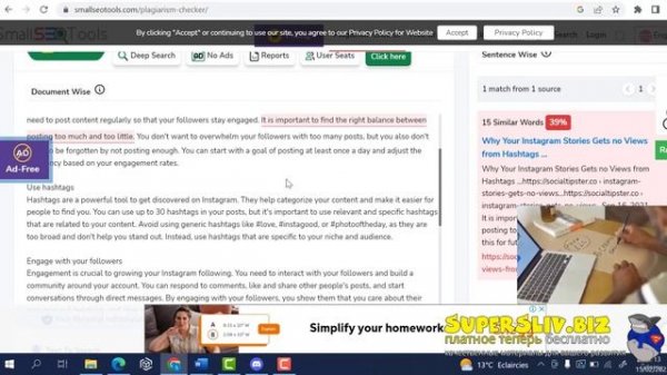 4. Plagiarism checker