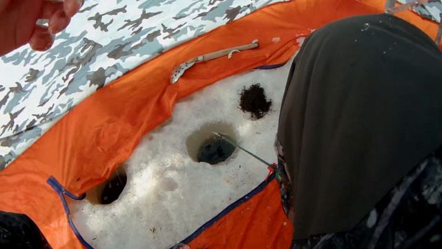 Закрытие сезона твёрдой воды 2020 на Ямале! Рыбалка с комфортом часть 2! смотреть онлайн