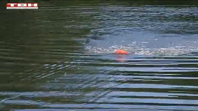 Делай То, Что Вдохновляет Жизнь