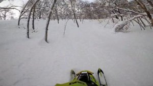 Камчатка polaris pro rmk 850
