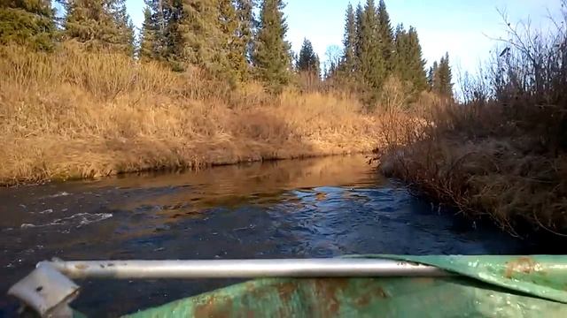 Водомет Карась - потеря тяги из-за травы смотреть онлайн