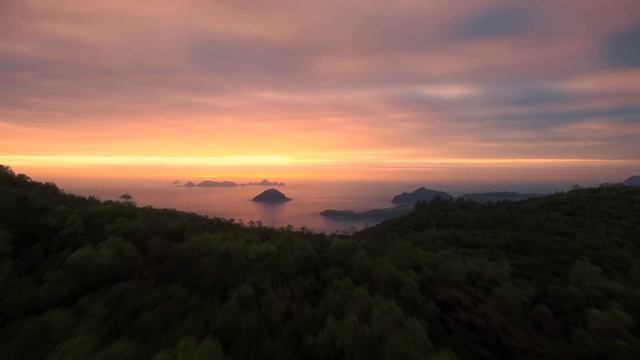 Drone fly above trees and ocean - stock video free download смотреть онлайн