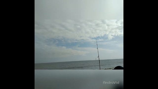 Shimano Alivio против Daiwa Sea Hunter смотреть онлайн