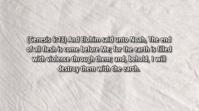 oracle bone script part 9 смотреть онлайн