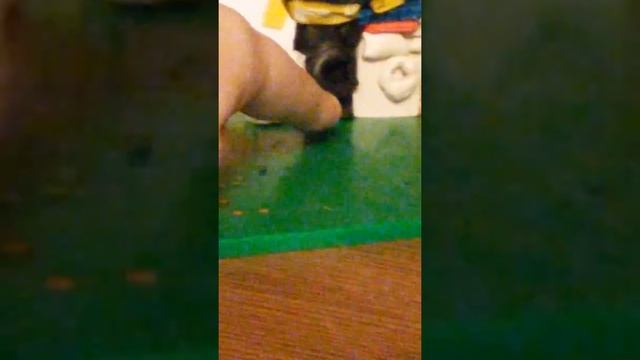 Сушильная машина стиральная машина и стиральная машина +сушильная машина вместе смотреть онлайн