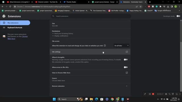 Allow access to file URLs on Google Chrome смотреть онлайн