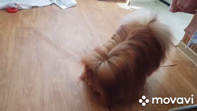 Карантин... смотреть онлайн