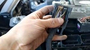 Jetta Bicentenario Codigos P0011 Y Vw 01314