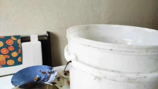 После шторма , морские вкусняшки. смотреть онлайн