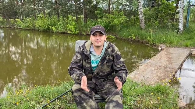 НАГЛАЯ ЦАПЛЯ ВОРУЕТ РЫБУ. Мой пруд на участке. Пруд на даче своими руками.