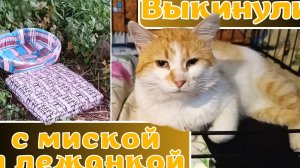 Выкинули вместе с миской и лежанкой.