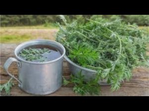 ЧИСТКА. ГОРЕЧЬ ПОЛЫНИ. СИЛЬНО. ДЛЯ ВСЕХ. ВЕДЬМИНА ИЗБА. ИНГА ХОСРОЕВА.mp4