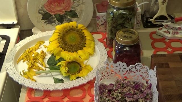 Золотые лепестки подсолнечника как добавка к чаю. Вкусно. Полезно. Красиво. смотреть онлайн