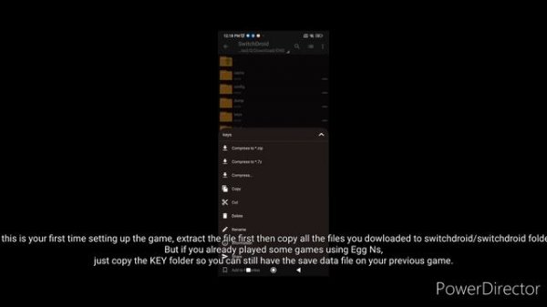 Egg Ns problem - The game is not showing on gamelist(SOLVED) + the lates prod.keys