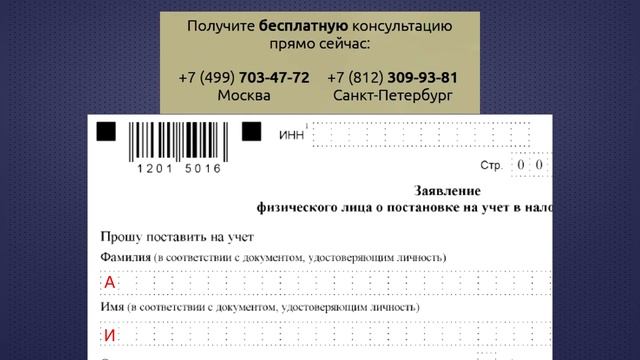 Правила заполнения заявления на получение ИНН физическому лицу смотреть онлайн