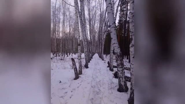 Народный праздник «Берещенье». Приметы на 11 апреля. Что нельзя делать и что можно. смотреть онлайн