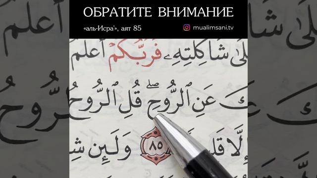 ОБРАТИТЕ ВНИМАНИЕ‼️(Обучение Корана) смотреть онлайн