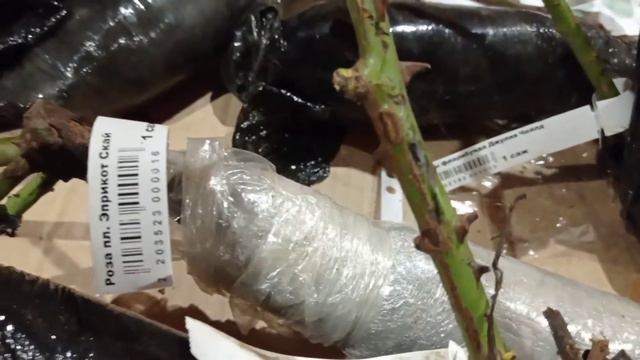 Распаковка второй посылки по акции от Беккер смотреть онлайн