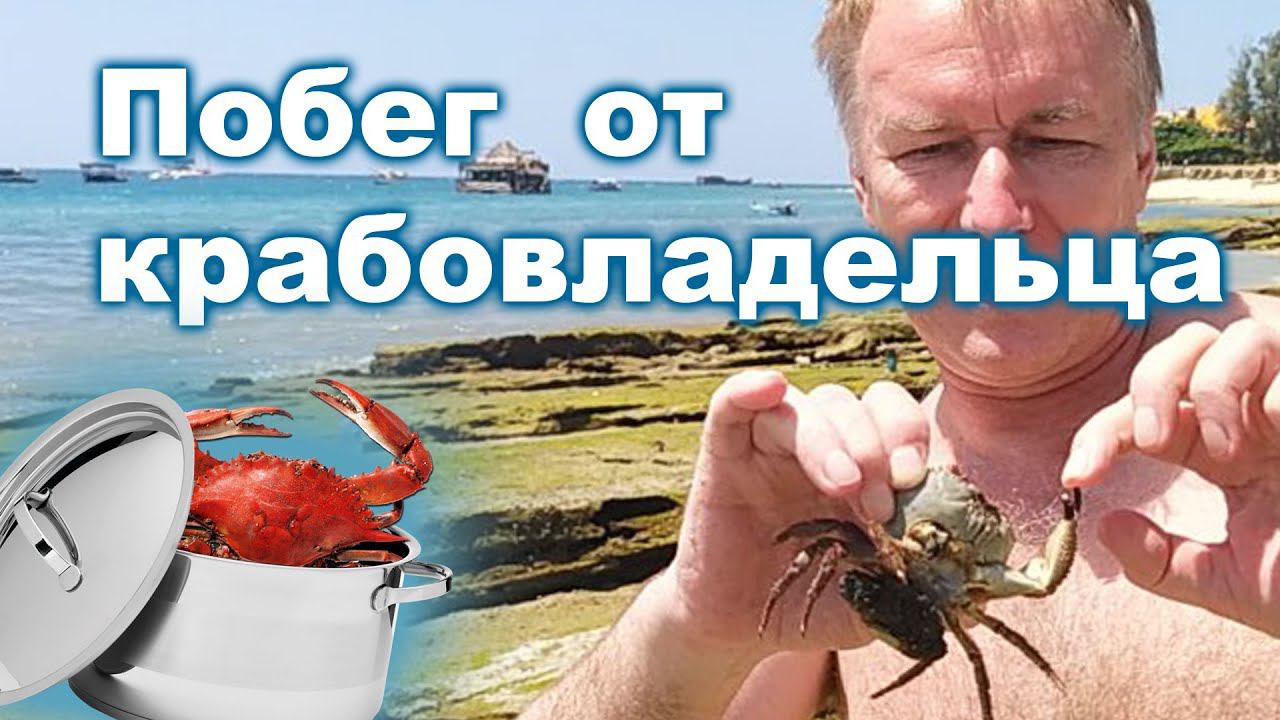 ЗАНЗИБАР ЛОВИМ КРАБОВ НА ПЛЯЖЕ смотреть онлайн