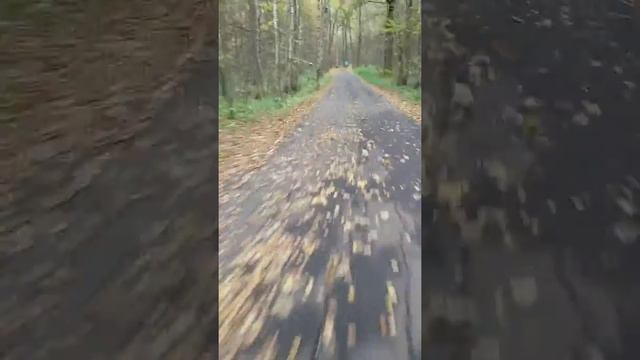 Неторопливая велосипедистка в синей куртке смотреть онлайн
