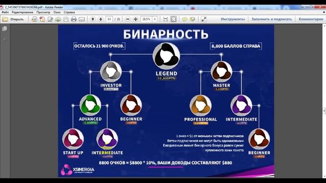 Xsinergia Новые возможности заработка смотреть онлайн