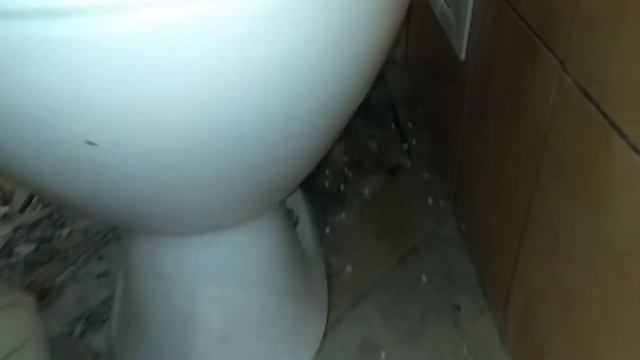 How to Remove a Toilet. Демонтаж унитаза. смотреть онлайн