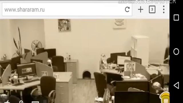 Open kids|Поколение Танцы|Шарарам клип|Шарасовы| смотреть онлайн