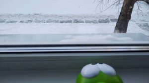 Обычный день ам няма