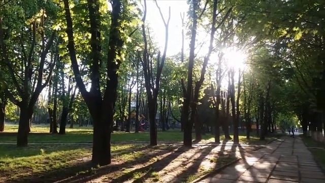 Мадам... Автор Ирена Буланова. Простите, мадам, я, возможно, некстати…. Стихи о жизни. смотреть онлайн