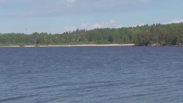 10 06 22.mp4 смотреть онлайн
