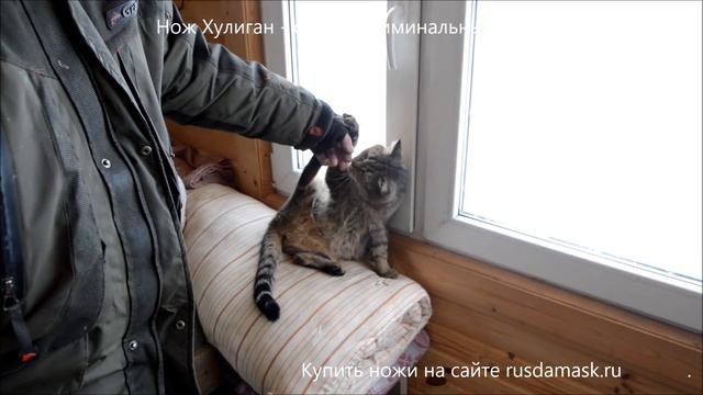 Озеро Кошкино теперь соответствует своему названию. Нож Хулиган - самый криминальный нож. смотреть онлайн