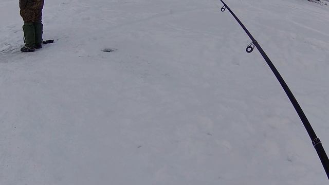 "в -12°с, за 70 км, на Дон за рыбой!", рыбалка на реке Дон, село "Дерезовка". смотреть онлайн