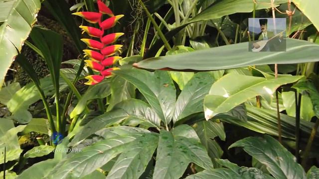 Ozan Sabri ŞİMŞEKOĞLU Ay Mirza Dayı смотреть онлайн