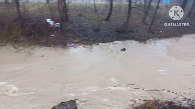 Уровень реки сильно поднялся в Закарпатье. смотреть онлайн