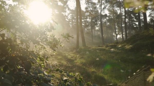 Магическая музыка для начала дня - Magic music to start the day