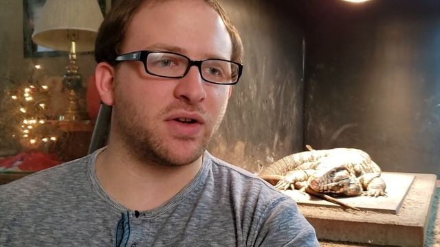 Is Your Tegu Obese? | How To Tell | Tegu Obesity Solutions смотреть онлайн