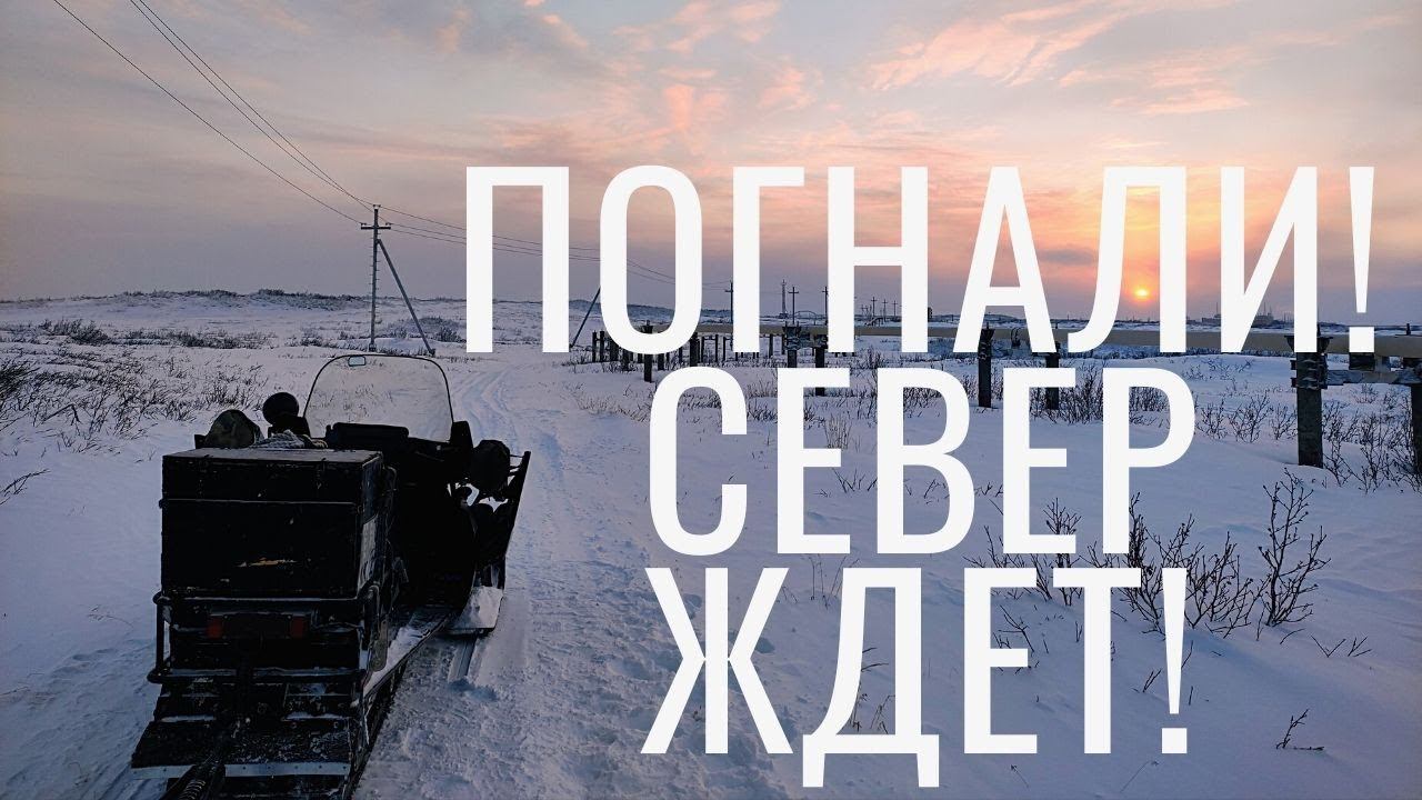ПОГНАЛИ! СЕВЕР ЖДЕТ! // ТАЙМЫР // 1x1 - ПИЛОТ смотреть онлайн