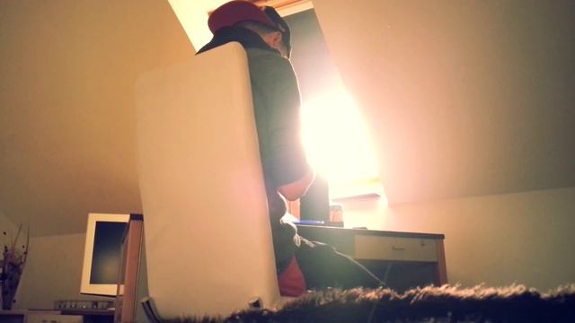 Ich habe es dir schon Tausend Mal gesagt ! [HowToBogu] смотреть онлайн